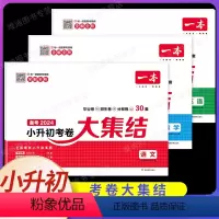 小学毕业升学考卷大集结 语数英[套装3本] 小学升初中 [正版]2024版 一本小学毕业升学考卷大集结模拟试卷及真题精选