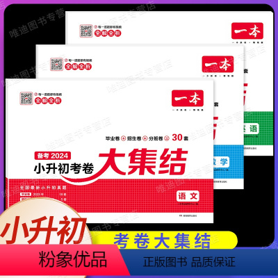 小学毕业升学考卷大集结 语数英[套装3本] 小学升初中 [正版]2024版 一本小学毕业升学考卷大集结模拟试卷及真题精选