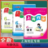 6年级上(语文.数学.英语)(3本) 小学六年级 [正版]钟书金牌上海作业六年级上下册 语文+数学+英语N版 6年级上下