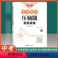 [正版]周计划 中考数学压轴题高效训练 圆 答案详解版 华东理工大学出版社 周周有安排 日日有进步 中考数学专项训练