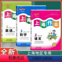 3年级上(语文.数学.英语)(3本) 小学三年级 [正版]钟书金牌上海作业三年级上下册 语文+数学+英语N版 3年级