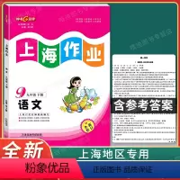 [正版]钟书金牌上海作业九年级下 语文 9年级下册/第二学期 上海初中教辅课后同步配套练习单元测试训练 上海大学出