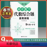 [正版]周计划 初中数学代数综合题 高效训练 9年级+中考 答案详解版 九年级初中数学代数综合题高效训练 中考真题模拟