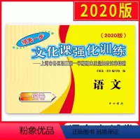 [正版]2020上海领先一步中考一模卷语文 试卷 文化课强化训练一模卷 上海市各区初三第一学期期末质量抽查试卷精编 中