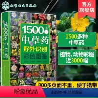 [正版]1500种中草药野外识别彩色图鉴 中草药书入门医学书籍 本草纲目 医学自学书籍中草药大全常用中药养生功效药方健