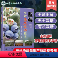 [正版]蓝莓高效基质栽培技术 曾其龙 蓝莓基质栽培的现状与发展蓝莓生物学特性 全彩图解蓝莓基质栽培 蓝莓专业技术人员科