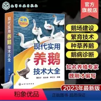 [正版]现代实用养鹅技术大全 魏刚才 养鹅关键技术一本通 鹅病诊断鹅场疾病防治 鹅场经营管理 鹅场经营者及广大养鹅专业