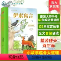 伊索寓言 [正版]伊索寓言美绘珍藏版 3-6-12岁儿童小学生经典寓言故事绘本书 儿童睡前故事亲子互动绘本 小学生课外