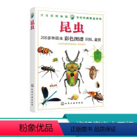 [正版]昆虫 本书囊括了400多幅精美的昆虫图片,以生动、有趣、实用的方式普及自然科学知识!以精美的图片触动读者