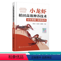 [正版]小龙虾稻田高效种养技术全彩图解 视频指导 小龙虾种虾投放幼虾繁育虾苗投放成虾养殖水稻育秧施肥 小龙虾高效养殖技