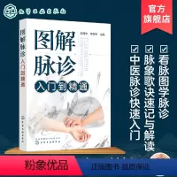 [正版] 图解脉诊入门到精通 中医脉诊基础理论入门自学把脉辨证诊断学脉象图谱图解脉诊书籍 中医脉诊从入门到精通临床中医
