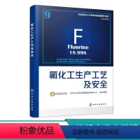 [正版]氟化工生产工艺及安全 系统解读氟化工行业现状生产工艺生产安全和法律法规 氟化学工业企业生产一线员工培训及考核参