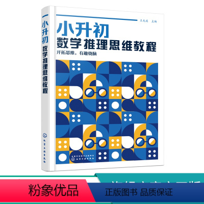 [正版]小升初数学推理思维教程 8-13岁学生小升初数学思维教程儿童读物 高思数学导引姊妹篇 新概念奥林匹克数学 图形