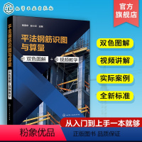 [正版]平法钢筋识图与算量 双色图解 视频教学 杨霖华 快速掌握平法钢筋识图与算量 条形基础筏形基础平法识图 工程施工