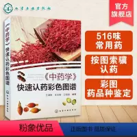 [正版] 中药学 快速认药彩色图谱 王满恩 发散风寒药清热泻火药清热解毒药 快速认药彩图版 516种常见中草药 中医中