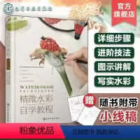 [正版]赠线稿 精微水彩自学教程 水彩画精微水彩起稿上色步骤详解 水彩画技法进阶教程 茅夫人水彩绘画干货教程 零基础初