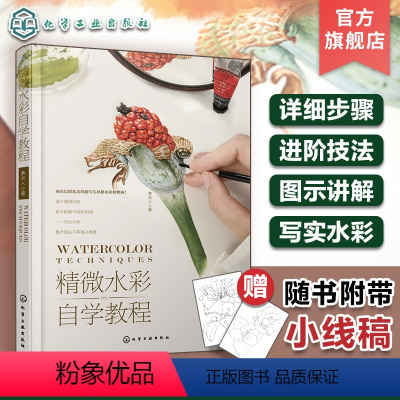 [正版]赠线稿 精微水彩自学教程 水彩画精微水彩起稿上色步骤详解 水彩画技法进阶教程 茅夫人水彩绘画干货教程 零基础初