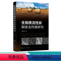 [正版] 生物质活性炭制备及性能研究 李红艳 农业废弃物资源化有效新途径 活性炭研究发展趋势 生物质原材料来源 水处理