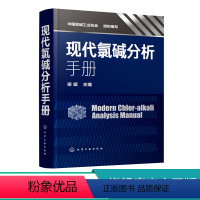 [正版]现代氯碱分析手册 梁斌 氯碱行业检测分析方法无机氯用原辅材料现代氯碱行业检测分析专业技术书籍氯碱安全生产加工