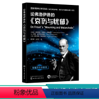 [正版] 论弗洛伊德的 哀伤与忧郁 国际精神分析协会 当代弗洛伊德 转折点与重要议题系列 当代弗洛伊德 精神分析专业应
