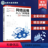 [正版]网络运维从入门到精通 29个实践项目详解 樊胜民 网络运维实战项目详解 网络管理网络工程师 高校计算机通信网络