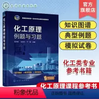 化工原理例题与习题 [正版]化工原理例题与习题 任永胜 化工原理 化工原理习题 高等院校化工类专业及相关专业化工原理课程