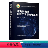 [正版]锂离子电池制造工艺原理与应用 锂离子电池关键技术书籍 离子电池电化学性能设计 制造工序工艺原理制造设备工艺调控