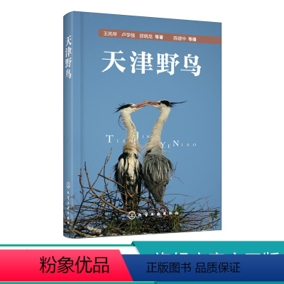 [正版]天津野鸟 常见野鸟图鉴 鸟类生态图片大全 鸟图鉴北京观鸟华北野鸟 鸟类摄影自然生态保护 大自然鸟类野外观鸟手册