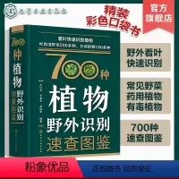 [正版]植物图鉴书 700种植物野外识别速查图鉴 植物野外识别图鉴 野菜识别图鉴 有毒植物鉴别 药用植物识别手册 70