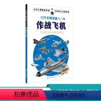 [正版]世界武器入门之作战飞机 武器装备百科 战斗机攻击机轰炸机直升机无人机性能及装备 军事兵器武器百科全书 现代军事