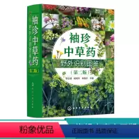 [正版]袖珍中草药野外识别图鉴 第二版 药用植物鉴别中国植物志 中华本草 中医药医师研究人员学生中草药爱好者参考工具书