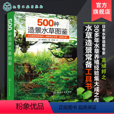 [正版]500种造景水草图鉴 水草造景设计书籍 专业水草图鉴书籍 水草缸造景 日本水草专家水草养殖经验书籍 各类水草在