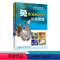 [正版] 畜禽常见病诊治彩色图谱丛书 兔常见病诊治彩色图谱 看图学治兔病 快速掌握兔病诊疗技术 农业畜牧兽医专业师生参