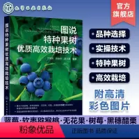 [正版]图说特种果树优质高效栽培技术 特种果树栽培技术全彩图解一本通 蓝莓树莓软枣猕猴桃无花果黑醋栗种植技术 特种果树