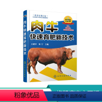 [正版]肉牛快速育肥新技术 养牛技术大全教程书籍 养肉牛大全技术书籍 饲养技术指南 常见牛病诊断预防技术书籍 肉牛饲