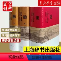 [正版] 唐诗鉴赏辞典+宋词鉴赏辞典上下全套共3册精装版 唐诗宋词全集 中国古诗词大会全集 古诗词鉴赏析诗歌诗词书