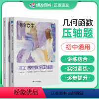 [重点突破]数学压轴题 初中通用 [正版]2024版蝶变中考数学压轴题精讲精练 挑战初中几何模型二次函数等压轴大题全解析