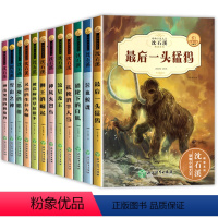 [全套12册]动物小说第一辑+第二辑 [正版]全套沈石溪动物小说大王全集小学生三四至六五年级课外书老师的作品阅读书籍儿童