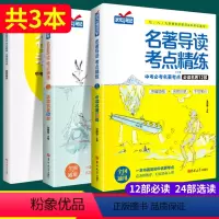 [全3本]名著导读12部+24部[赠练习册] 初中通用 [正版]名著导读考点精练初中语文七年级八年级九年级上册适用人教版