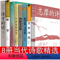 [正版]现代诗歌精选8册诗歌集经典书籍海子的诗林徽因诗集徐志摩诗爱情泰戈尔诗选艾青郭沫若普希金新月集飞鸟集再别康桥 中