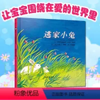 [精装硬壳]逃家小兔 [正版]逃家小兔 绘本图画书亲子共读早教故事绘本阅读 幼儿园老师3-5-6-8岁以上儿童硬壳绘本图