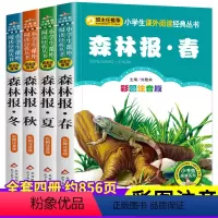 [全套4册]森林报(春夏秋冬) [正版]森林报全集系列注音版 春夏秋冬全四册带彩图拼音版一年级阅读课外书必读老师儿童绘本