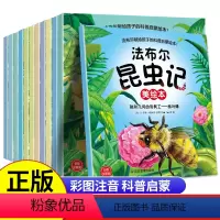 [全套12册]昆虫记美绘本 [正版]法布尔昆虫记绘本全套12册 彩图注音版昆虫故事书幼儿版一年级二年级带拼音故事人教版儿