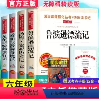 [正版]骑鹅旅行记 快乐读书吧六年级下册必读 鲁滨逊漂流记小学生版课外阅读书籍原著书尼尔斯企鹅历险记汤姆索亚下学期鲁滨