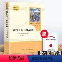 [正版]钢铁是怎样炼成的初中原著 人民教育出版社八年级下册书 是怎样练怎么 初中生人教版必读原版书籍课外阅读名著文学8