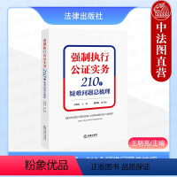 [正版] 强制执行公证实务 210个疑难问题总梳理 王明亮 强制执行公证理论研究 金融机构公证行业法院实务用书 高校案