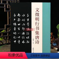 [正版]学海轩 文徵明行书集唐诗 碑帖成人学生字帖简体旁注古典文学古代传统文化艺术法帖名家古诗词书法理论赏析技法研究临