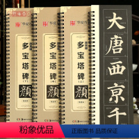 [正版]学海轩共3本颜真卿多宝塔碑上中下入门放大版近距离临摹字卡米字格简体角注扫码看视频教学成人初学者颜体楷书毛笔临摹