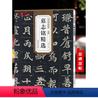 [正版]北魏墓志铭选历代碑帖杜浩楷书毛笔字帖书法临摹练元桢墓志铭李璧墓志铭美人董氏墓志铭简体旁注书籍安徽美术出版社