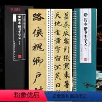 [正版]学海轩共2本智永楷书千字文临读对照版名家碑帖近距离临摹卡米字格附角注放大原帖简体旁注智永楷书毛笔书法字帖字卡入